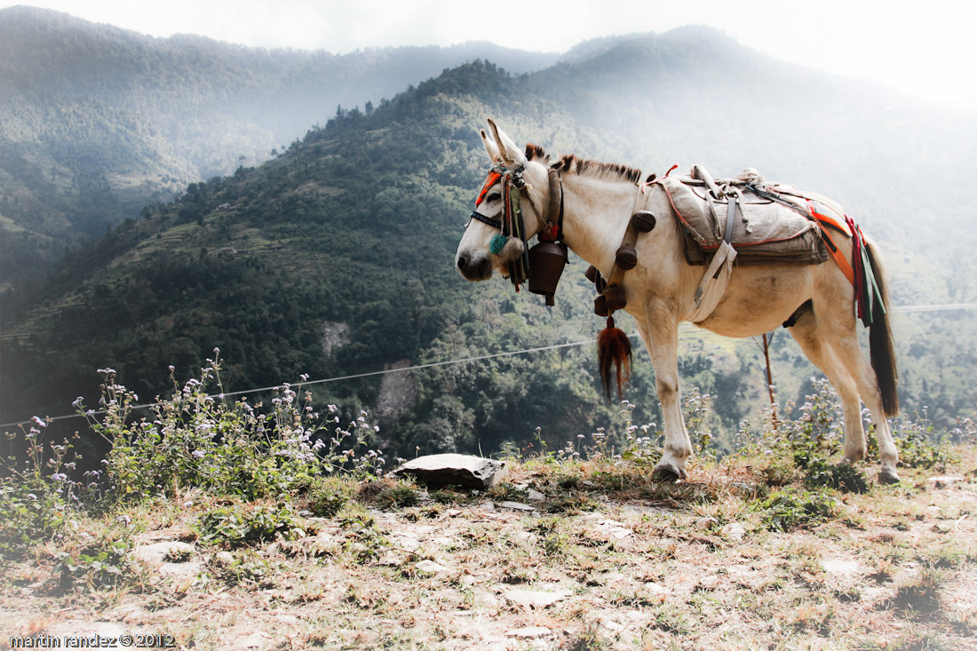 Nepal